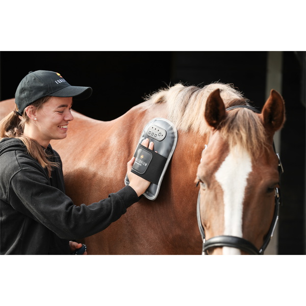 Equilibrium Massage Mitt - Grey